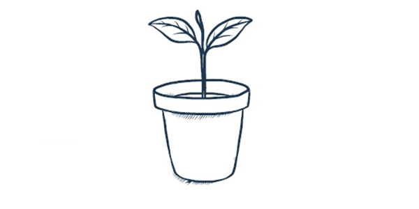 grow plant.png
