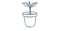 grow plant.png